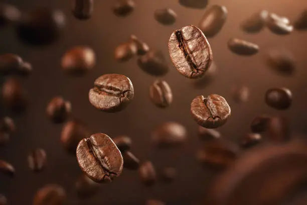 Coffee-Shopping-Made-Easy-Tips-for-Choosing-the-Best-Beans BOOKOO | Design-Tech Coffee Tools