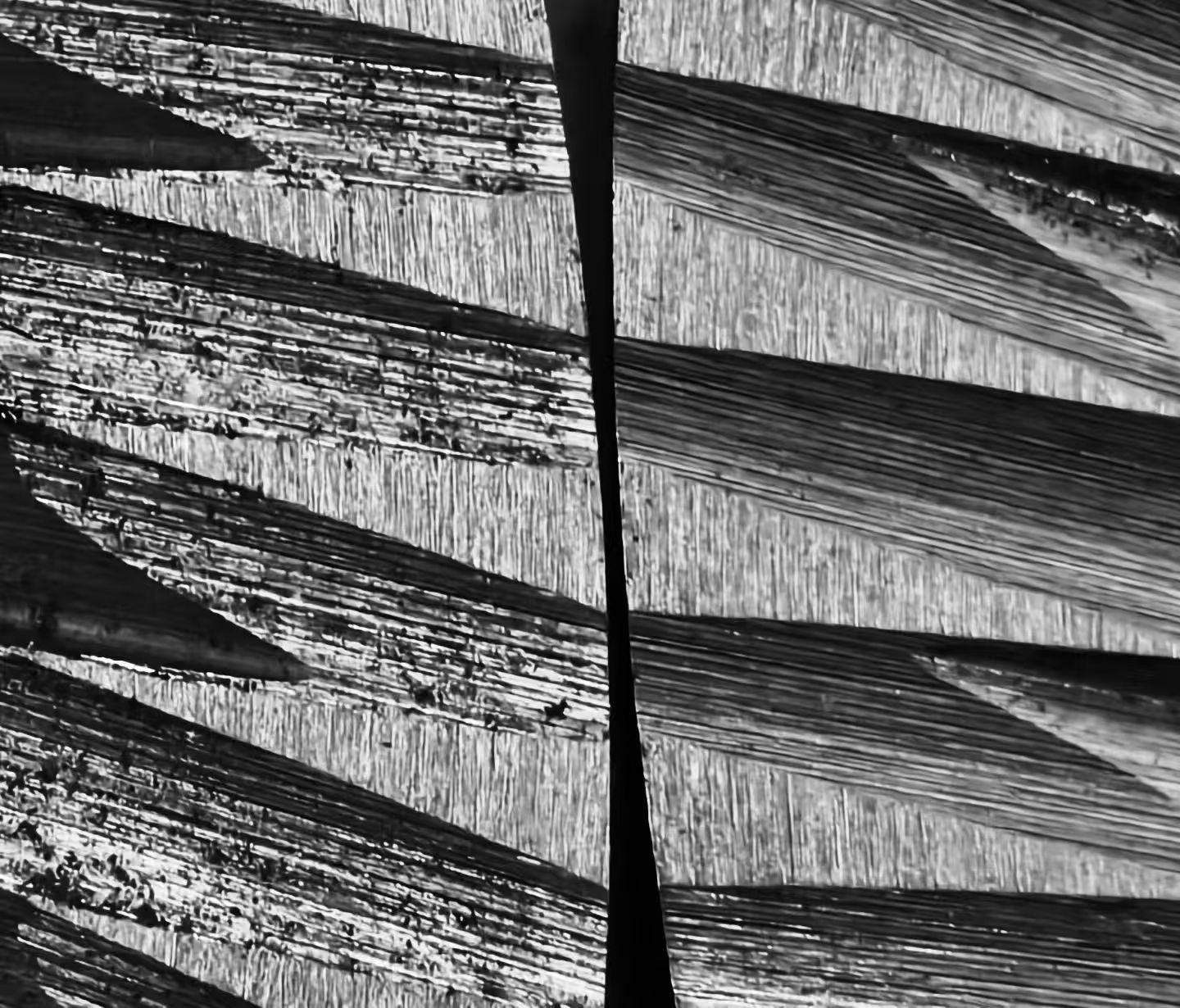 Microscopic comparison of burr cutting surfaces used during BOOKOO Motto80 development.