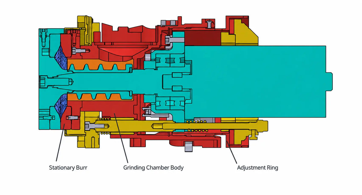 Motto80 cross-section labeling the stationary burr, grinding chamber body, and adjustment ring.