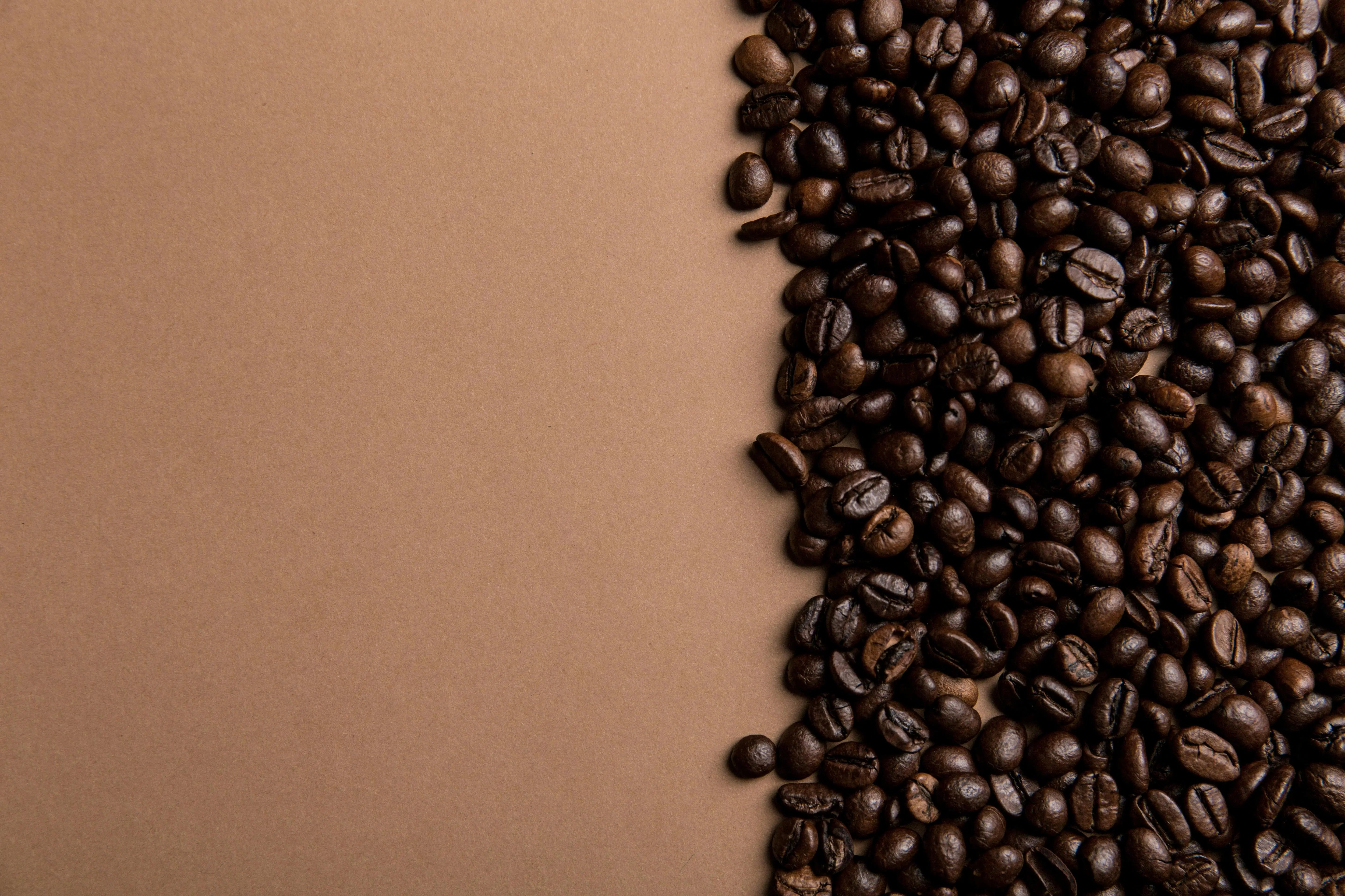 Reading-the-Signs-of-Under-and-Over-Extraction BOOKOO | Design-Tech Coffee Tools